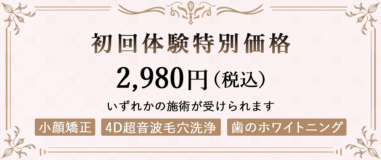 初回特別価格バナー